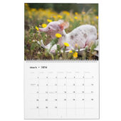 Alles wat Rosie Calendar Kalender (Mar 2026)