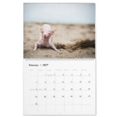 Alles wat Rosie Calendar Kalender (Feb 2027)