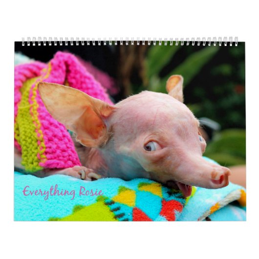 Alles wat Rosie Calendar Kalender (Hoes)