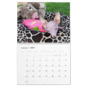 Alles wat Rosie Calendar Kalender (Jan 2027)