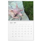 Alles wat Rosie Calendar Kalender (Mar 2027)
