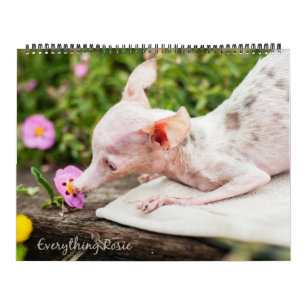 Alles wat Rosie Calendar Kalender