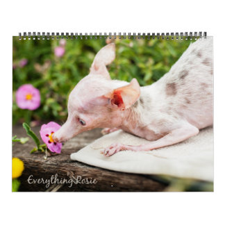 Alles wat Rosie Calendar Kalender