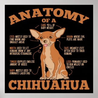 Alles wat u nodig hebt | Chihuahua Dog | Chihuahua Poster