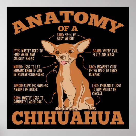Alles wat u nodig hebt | Chihuahua Dog | Chihuahua Poster (Voorkant)