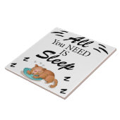 Alles wat u nodig hebt, is Slaap Funny Quottes Cer Tegeltje (Zijkant)