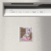 Alles wat we nodig hebben is Liefde! Magneet (Insitu (Vaatwasser))