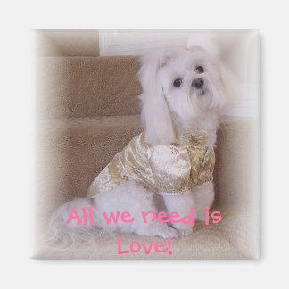 Alles wat we nodig hebben is Liefde! Magneet