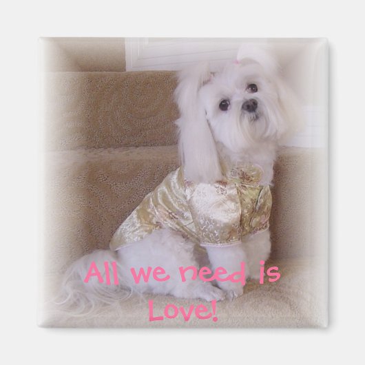 Alles wat we nodig hebben is Liefde! Magneet (Voorkant)