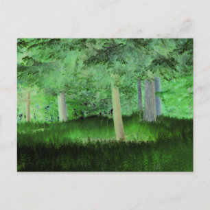 "Alles zou kunnen gebeuren" Magisch veranderd bos Briefkaart