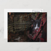 alley 007 postcard briefkaart (Voorkant / Achterkant)