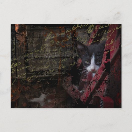 alley 007 postcard briefkaart (Voorkant)