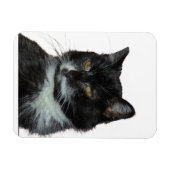 Alley Cat Love Magneet (Horizontaal)