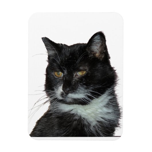 Alley Cat Love Magneet (Verticaal)