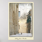 Alley Cat - Malta Poster (Voorkant)