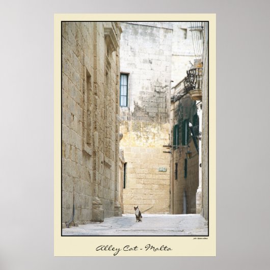 Alley Cat - Malta Poster (Voorkant)
