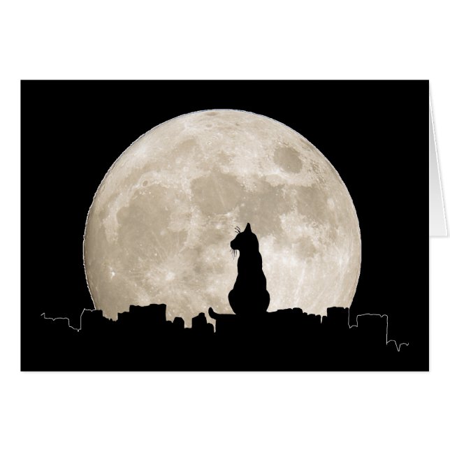 Alley Cat Moon (Voorkant Horizontaal)