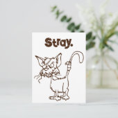 Alley Cat Tough Kat Cool Funny Tom Cartoon Briefkaart (Staand voorkant)