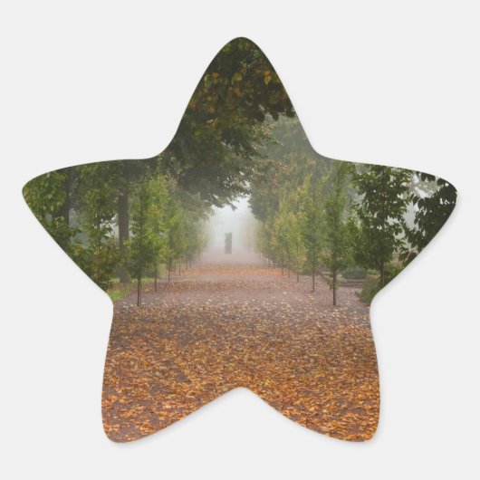 Alley in mist ster sticker (Voorkant)