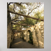 Alley in San Antonio, Texas Poster (Voorkant)