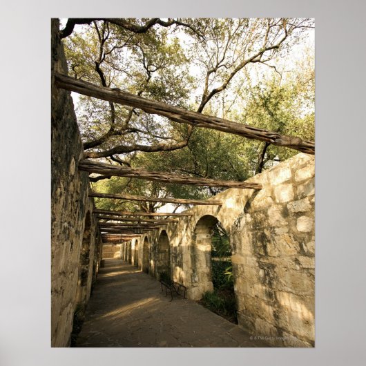 Alley in San Antonio, Texas Poster (Voorkant)