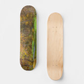 Alley Lente Herfst Water Skateboard (Voorkant)