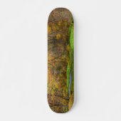 Alley Lente Herfst Water Skateboard (Voorkant)