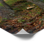 Alley Mill 1 Poster (Hoek)