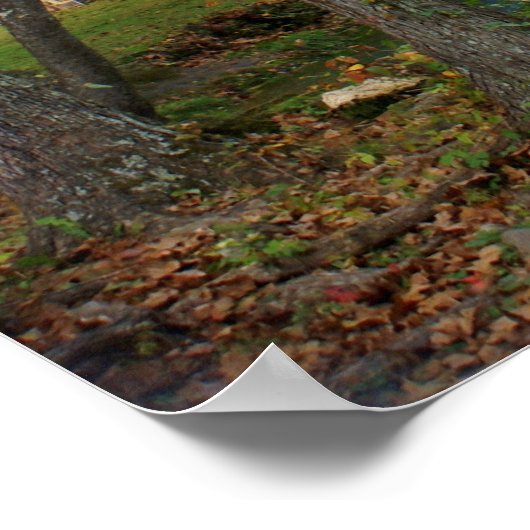 Alley Mill 1 Poster (Hoek)