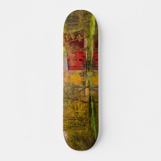 Alley Mill En Bron Skateboard (Voorkant)