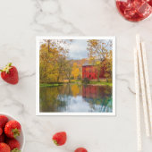 Alley Mill en Spring Servet (Insitu)