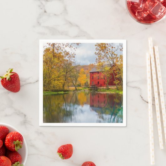 Alley Mill en Spring Servet (Insitu)