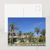 Alley of date palms briefkaart (Voorkant / Achterkant)