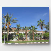 Alley of date palms fotoplaat (Voorkant)