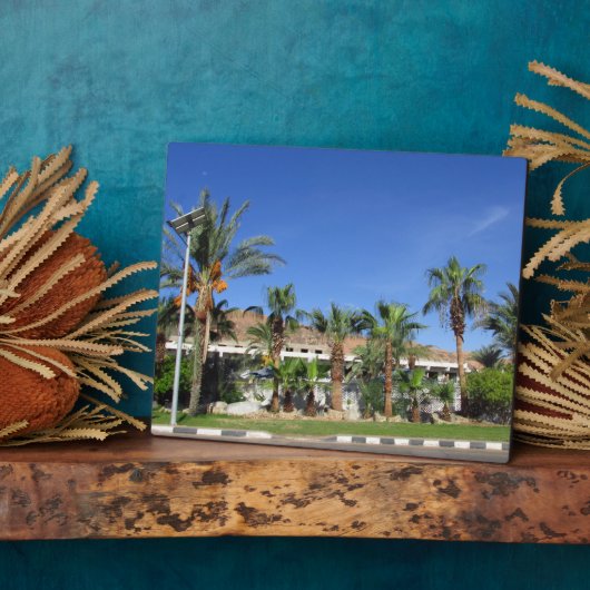 Alley of date palms fotoplaat (Zijkant)