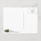 Alley Roller Mill en Spring Briefkaart (Achterkant)
