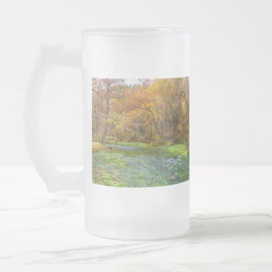 Alley Spring Autumn Water Frosted Glass Beer Mok (Links)