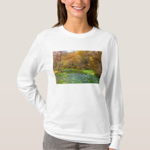 Alley Spring Autumn Water T-shirt