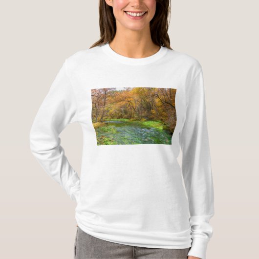 Alley Spring Autumn Water T-shirt (Voorkant)