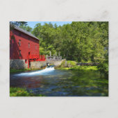 Alley Spring Briefkaart (Voorkant)