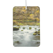 Alley Springs Rapids Luchtverfrisser (Voorkant)