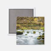 Alley Springs Rapids Magneet (Voorkant / Achterkant)