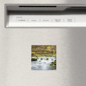 Alley Springs Rapids Magneet (Insitu (Vaatwasser))