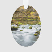 Alley Springs Rapids Ornament (voorkant)