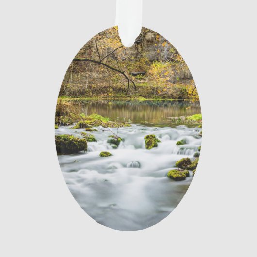 Alley Springs Rapids Ornament (achterkant)