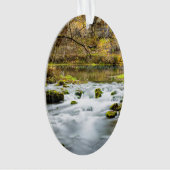 Alley Springs Rapids Ornament (voorkant)