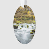 Alley Springs Rapids Ornament (voorkant)