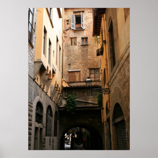Alleyway Poster (Voorkant)