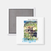 Allgäu Alps  Koe Beieren Duitsland Souvenir Magneet (Voorkant / Achterkant)