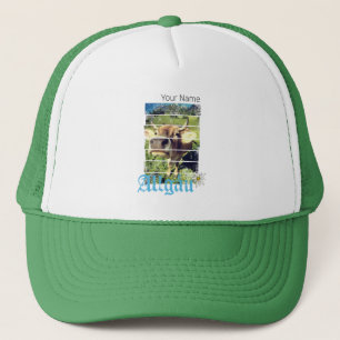 Allgäu Alps Koe Beieren Duitsland Souvenir Trucker Pet